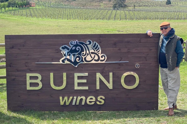 Bueno Wines